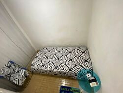 Braddell View (D20), Apartment #555730081